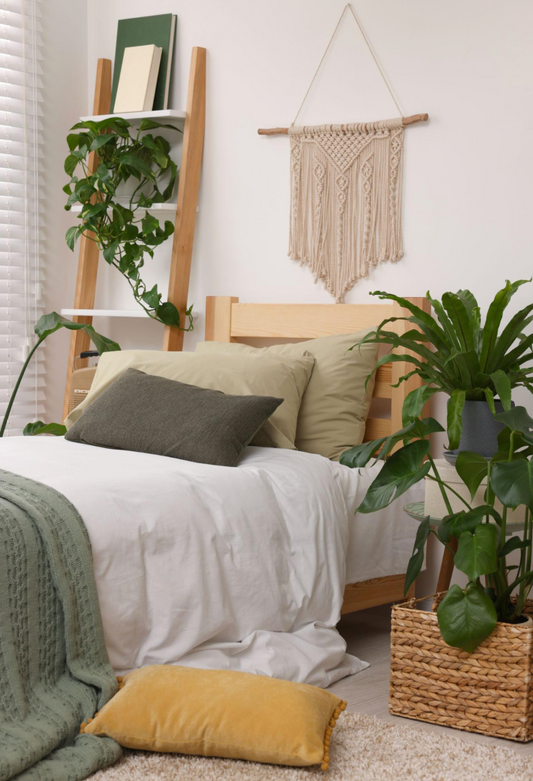 How Houseplants Improve Mental Health and Well-Being Naturally
