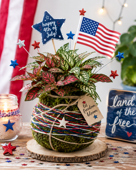 4th of July Kokedama
